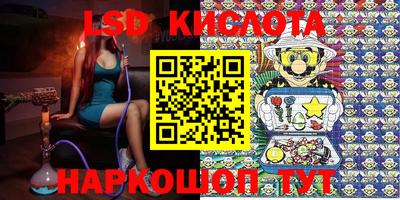 прущие грибы Кунгур