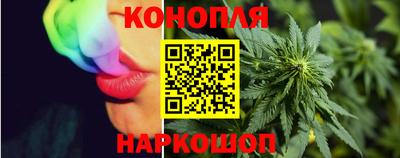 прущие грибы Кунгур